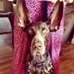 Profile Picture of Wilbur Webb (@wilbur.webb.5) on Facebook