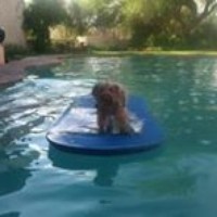 Profile Picture of Jacob Morton (@jacob-morton-3) on Quora