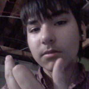 Profile Picture of Steven Tremblay (@StevenTremblai) on Twitter