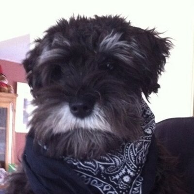 Profile Picture of Matt Hackett (@Spiderfudge) on Twitter