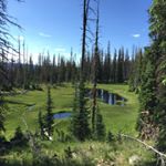 Profile Picture of Kent Meredith (@kgmeredithmd) on Instagram