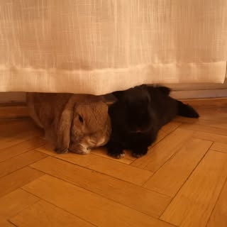 Profile Picture of David Dunham (@david.dunham) on Instagram