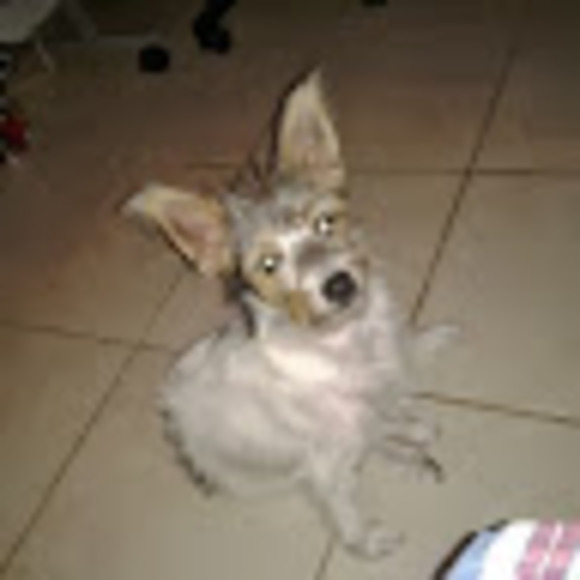 George Brooks - Poshmark Profile Picture of George Brooks (@grggeorge79) on Poshmark