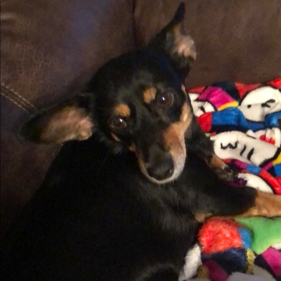 Profile Picture of Kimberly Doss (@doss8764) on Poshmark