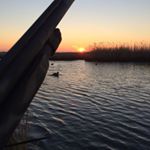 Profile Picture of Vincent Bonavita (@vincent.bonavita) on Instagram