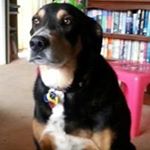 Profile Picture of Mark McNaught (@mark.mcnaught) on Instagram