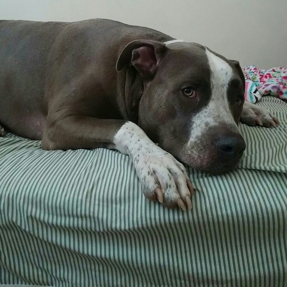 Profile Picture of Kim Ly (@ty15son12) on Poshmark