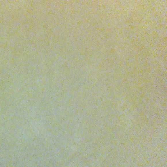 Profile Picture of Renee Reiser (@renee6m) on Poshmark