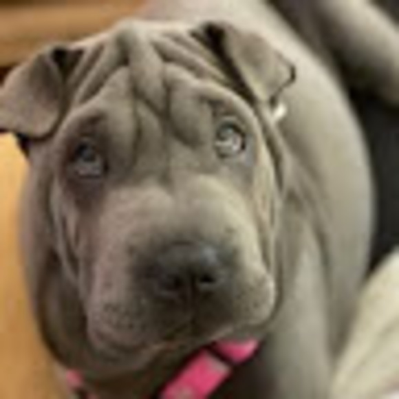 Profile Picture of Jennifer Martinsen (@jennifermrn) on Poshmark