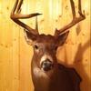 Profile Picture of Cliff Baisden (@@cliff3726) on Tiktok