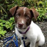 Profile Picture of Michael Patterson (@moejoeking) on Instagram