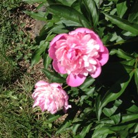 Pamela Ulloa - Quora Profile Picture of Pamela Ulloa (@pamela-ulloa-4) on Quora