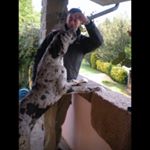 Profile Picture of Michele Bergstrom (@mik.bergstrom) on Instagram