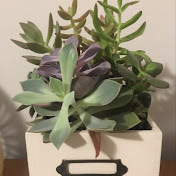 Profile Picture of Melissa Carson (@melissacarson6032) on Youtube