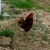 Profile Picture of Morgan Quick (@morganquick6143) on Youtube