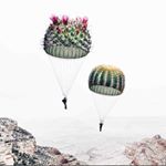 Profile Picture of stacyengelbrecht123 (@stacyengelbrecht1) on Instagram
