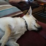 Profile Picture of Kevin Shakespeare (@kevin.shakespeare.50) on Instagram