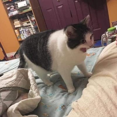 Profile Picture of K (@_krysan) on Twitter