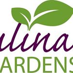 Jack Rainey - Instagram Profile Picture of Jack Rainey (@jackrainey_culinarygardens) on Instagram