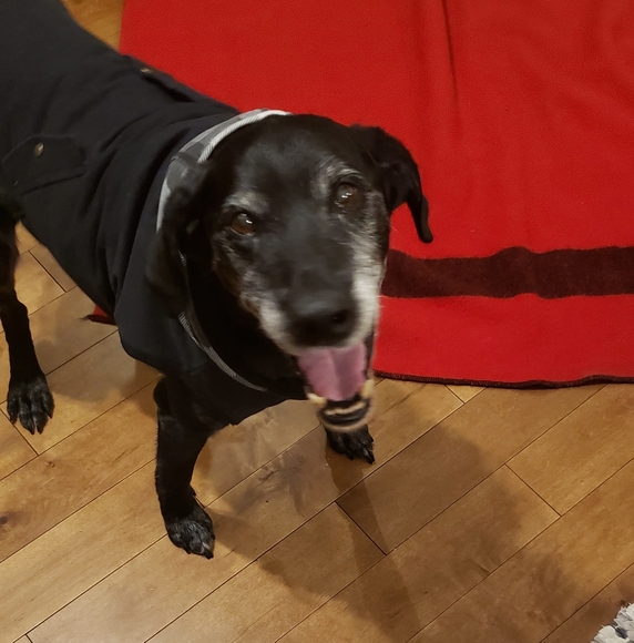 Profile Picture of Kimberly Mcwilliam (@kkimmcwi) on Poshmark