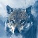 Profile Picture of Michael Blanchet (@michael.blanchet.710) on Facebook