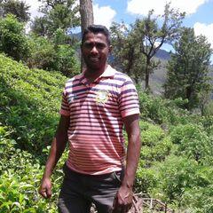 Profile Picture of Anthony Rajanayagam (@rajasdsdo2) on Twitter