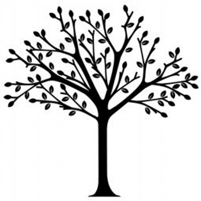 Profile Picture of Craig Mustard (@MustardCraig) on Twitter