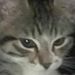 Profile Picture of richard widmark (@armicheboliche) on Pinterest