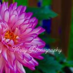 Profile Picture of Kim Nelson (@nelly.photography74) on Instagram