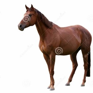 Barry Smithsonian - Myspace Profile Picture of Barry Smithsonian (@emotionperiod) on Myspace