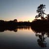 Profile Picture of Erin Harlow (@@bluestoneriver) on Tiktok