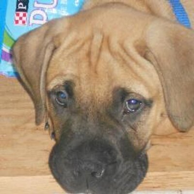 Profile Picture of Kristy Justice (@@nicole_alan) on Twitter