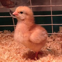 Profile Picture of Laura Henmueller (@laura-henmueller) on Quora