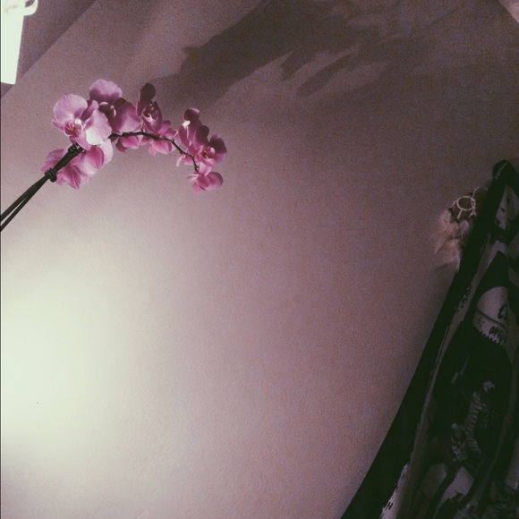 Profile Picture of Ania Paja (@aniapaja) on Poshmark