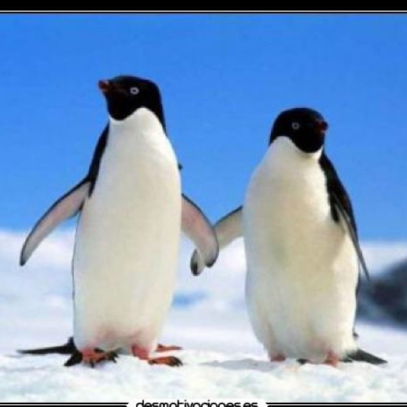 Profile Picture of Tamara Valerio (@tamyvalerio) on Poshmark