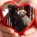 Profile Picture of Dawn Richards (@dawn.richards.77377) on Facebook
