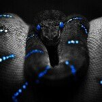 Profile Picture of adam zuk (@semzuk1) on Instagram