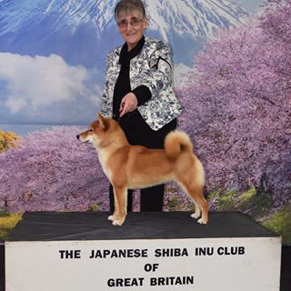 Profile Picture of Marilyn Packer (@marilyn.packer) on Facebook