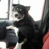 Profile Picture of Larry DeVoy (@@larrywolf81) on Tiktok