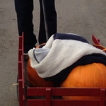 Profile Picture of Jung Lim (@yljace) on Flickr