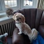 Profile Picture of Susan Holloway (@susan.holloway.737) on Instagram