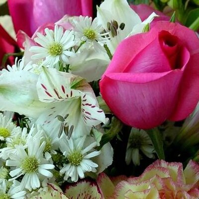 Profile Picture of Syed Athar Kazmi (@athar_kazmi) on Twitter