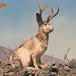 Profile Picture of laura obermeyer (@lauraobermeyer) on Instagram