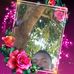Profile Picture of Joshua Tomasi (@joshua.tomasi.52) on Facebook