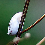 Profile Picture of Scott Christensen (@scott christensen) on Flickr