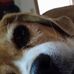 Profile Picture of Dennis Main (@dennis.main.12) on Facebook