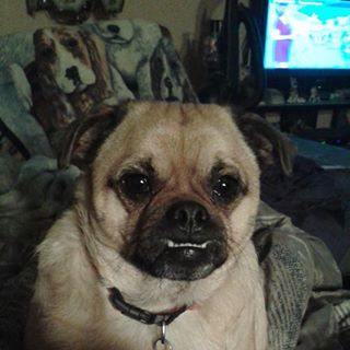 Profile Picture of Carlene Persic (@Carlene-Persic) on Facebook