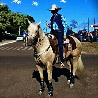 Profile Picture of Aderaldo Barros (@aderaldo.barros.37) on Facebook
