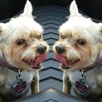 Profile Picture of Dave Pauluk (@dave-pauluk) on Quora