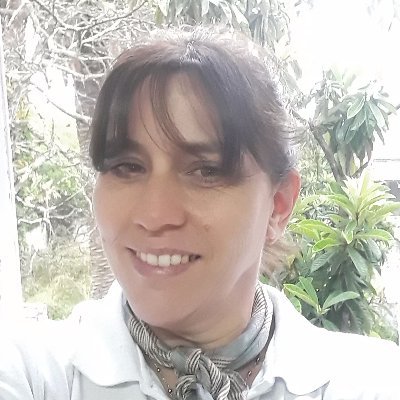 Profile Picture of Silvia Amelia Correa (@silvi031) on Twitter